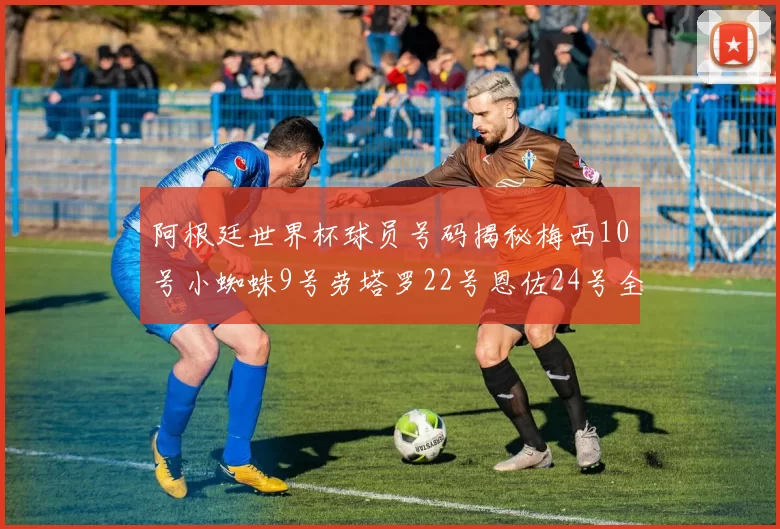 阿根廷世界杯球员号码揭秘梅西10号小蜘蛛9号劳塔罗22号恩佐24号全解析